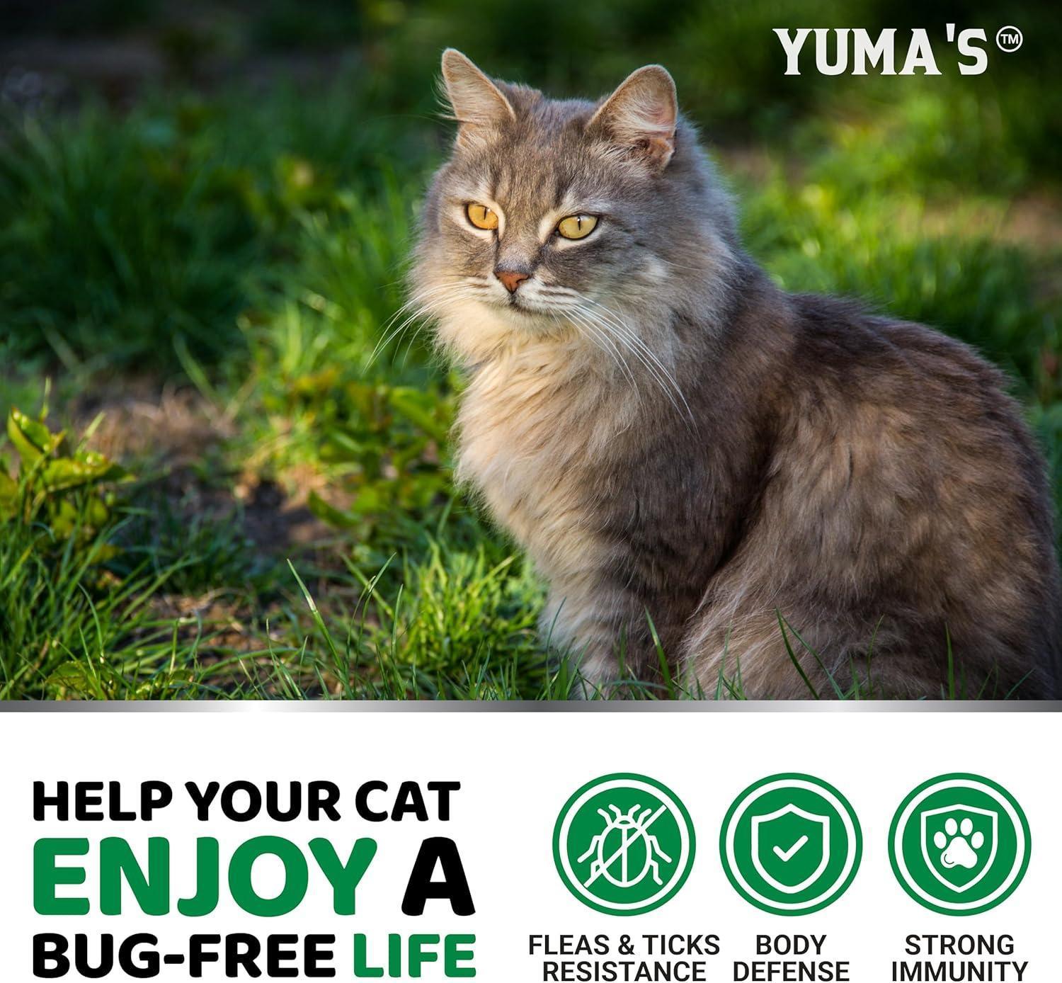 Flea & Tick Chews for Cats