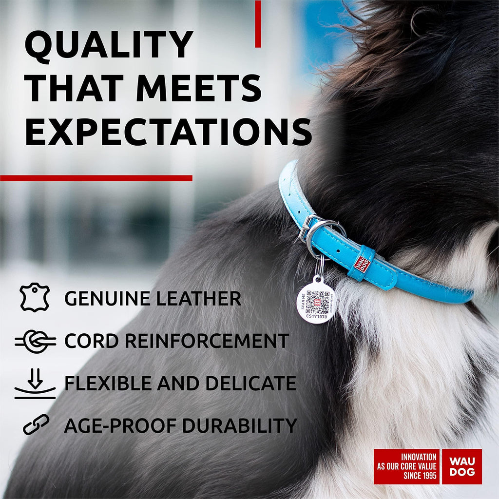 Rolled Leather Dog Collar Padded All Sizes 15–19 in Neck Blue