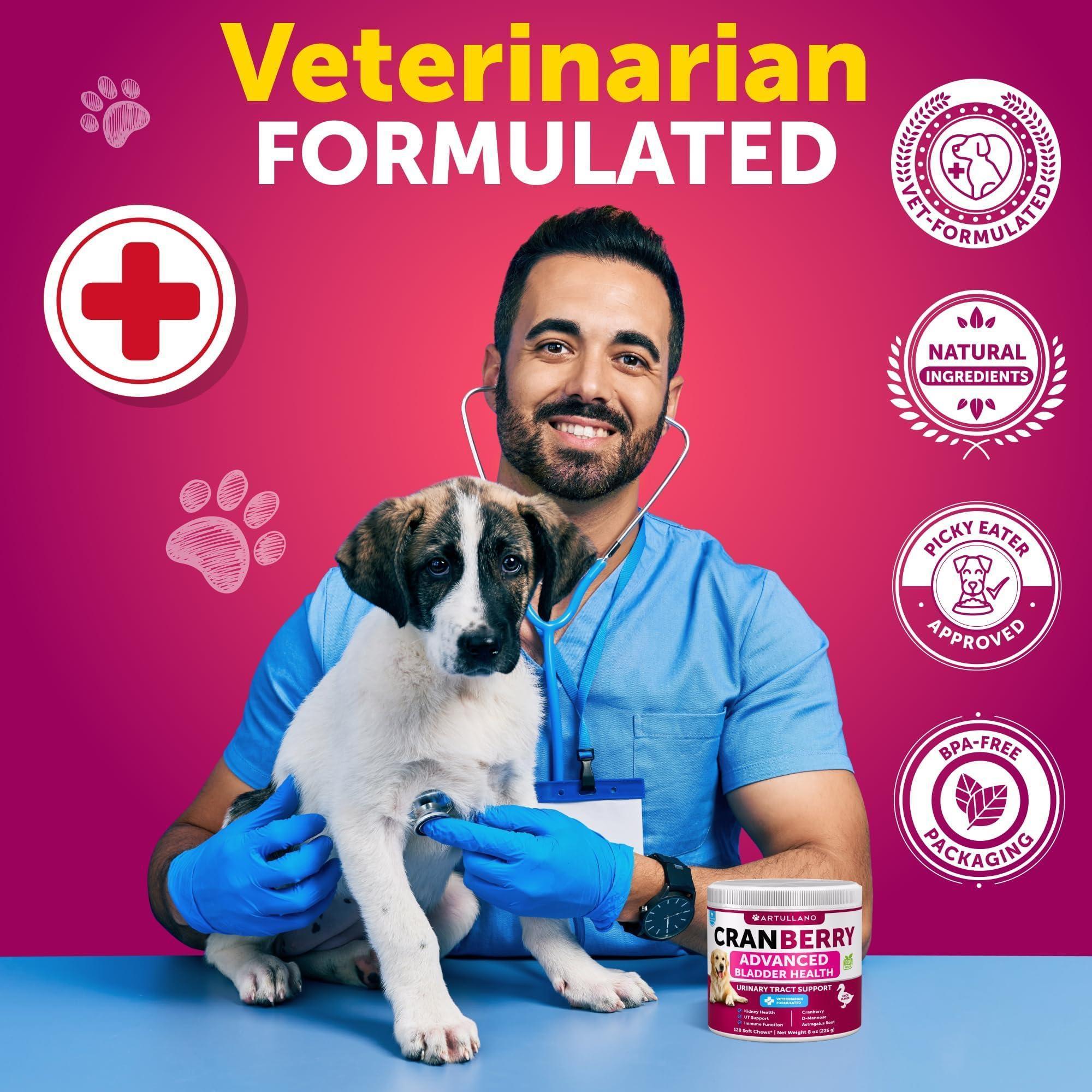 Dog UTI Treatment 240 Chews 2-Pack Cranberry Bladder & Kidney Support