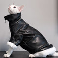 Thickened Coat Furless Cat Apparel Sphynx Cat Outfit Autumnwinter Style