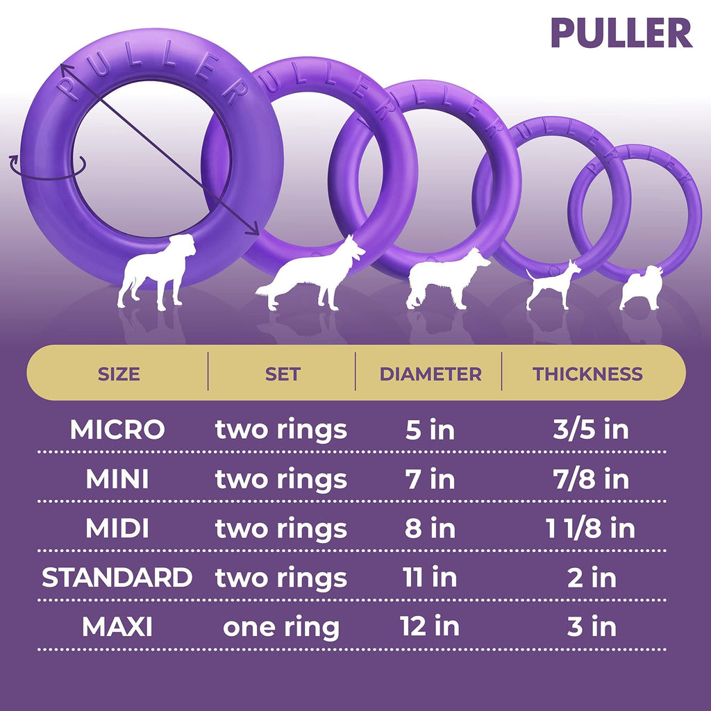 Dog Ring Fetch Toy Large Dogs Standard Size 2 Rings