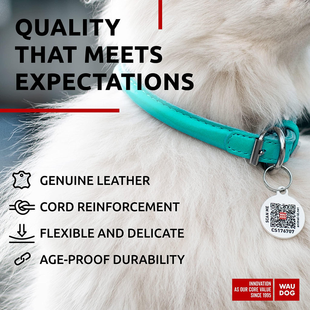 Ultra Soft Rolled Leather Dog Collar for Small Dogs Mint 8  10 inch Neck Soft