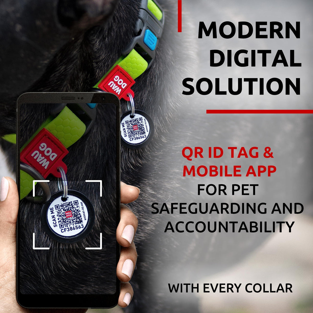 Waterproof Dog Collar Adjustable Medium Dogs 10–16 in Neck x 4/5 in Green