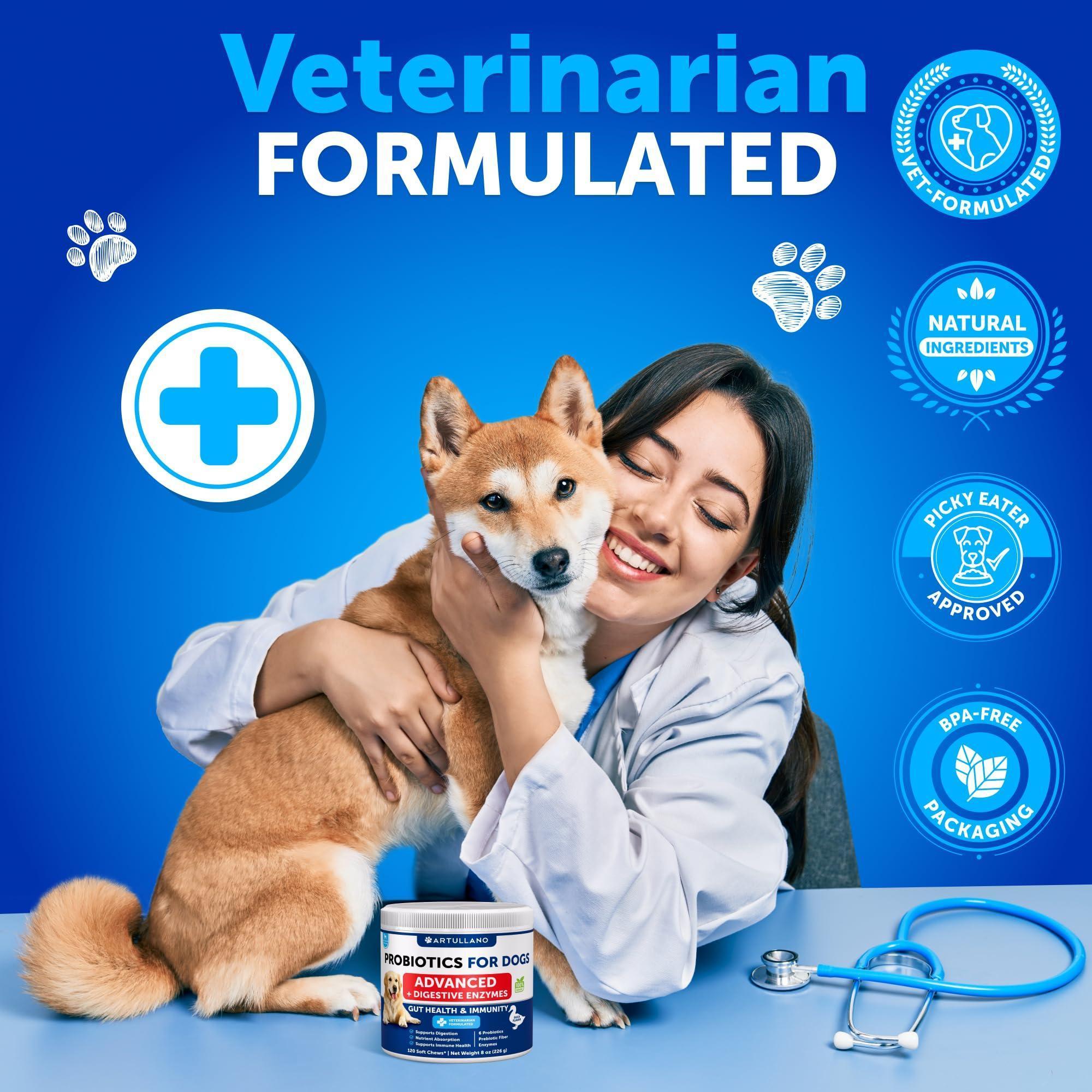 Probiotics for Dogs 240 Count 2-Pack Digestive Enzymes & Prebiotics Gut Health