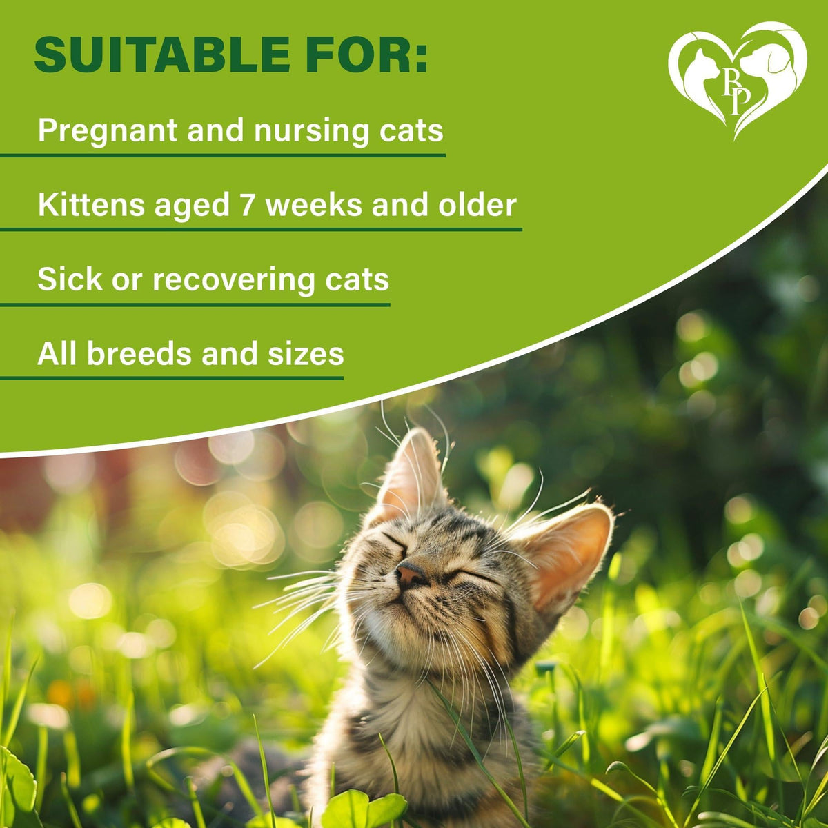 Flea & Tick Collar for Cats 6-Month Protection Essential Oil Repellent 1 Pack