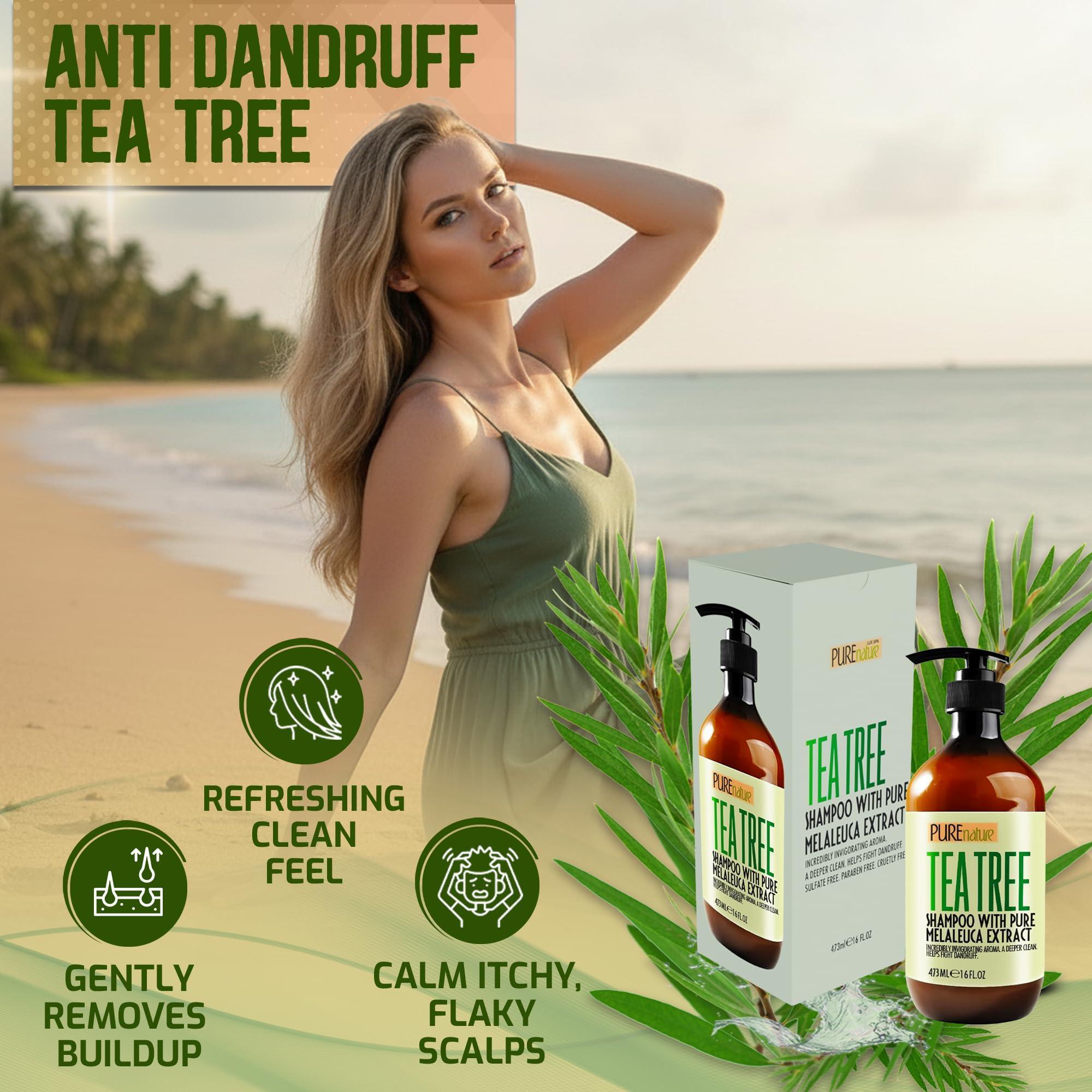 Tea Tree Shampoo Sulfate Free Anti Dandruff 16 Fl Oz Deep Cleanse for Oily and Itchy Scalp Buildup Remover Professional Oily Hair Salon Formula Paraben Free Shampoo for Women and Men