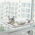 Cat Hammock Suction Cup Wall Mounted Window Hammock