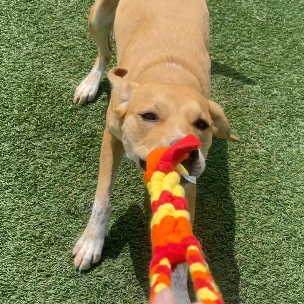 Interactive Tug & Treat-Dispenser Toy for Dogs Teething Relief Orange