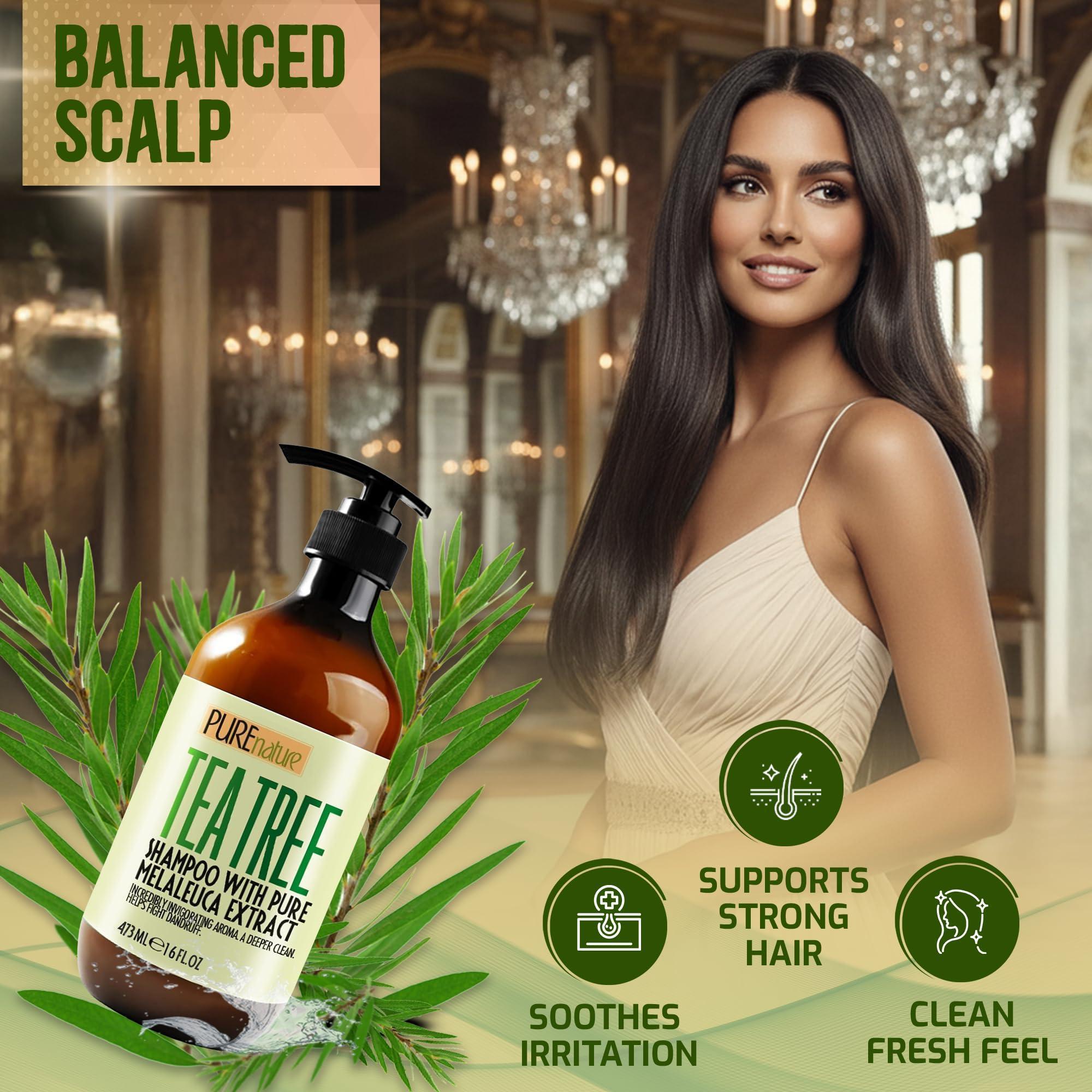 Tea Tree Shampoo Sulfate Free Anti Dandruff 16 Fl Oz Deep Cleanse for Oily and Itchy Scalp Buildup Remover Professional Oily Hair Salon Formula Paraben Free Shampoo for Women and Men