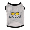 Pet clothes dog clothes cat clothes