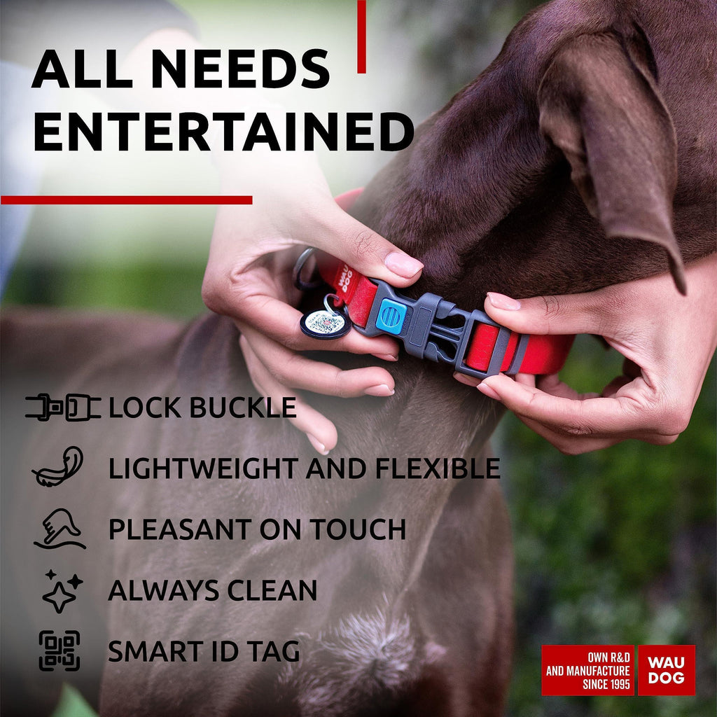 Waterproof Dog Collar Adjustable 12–19 in Neck x 1 in Wide Buckle & QR Tag Red