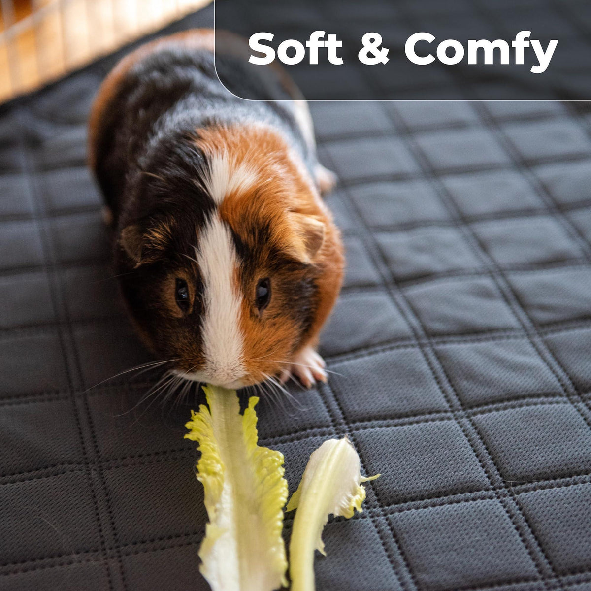 Washable Cage Liners for Rabbits & Guinea Pigs 2x4 C&C 57x28 in 2-Pack Waterproof