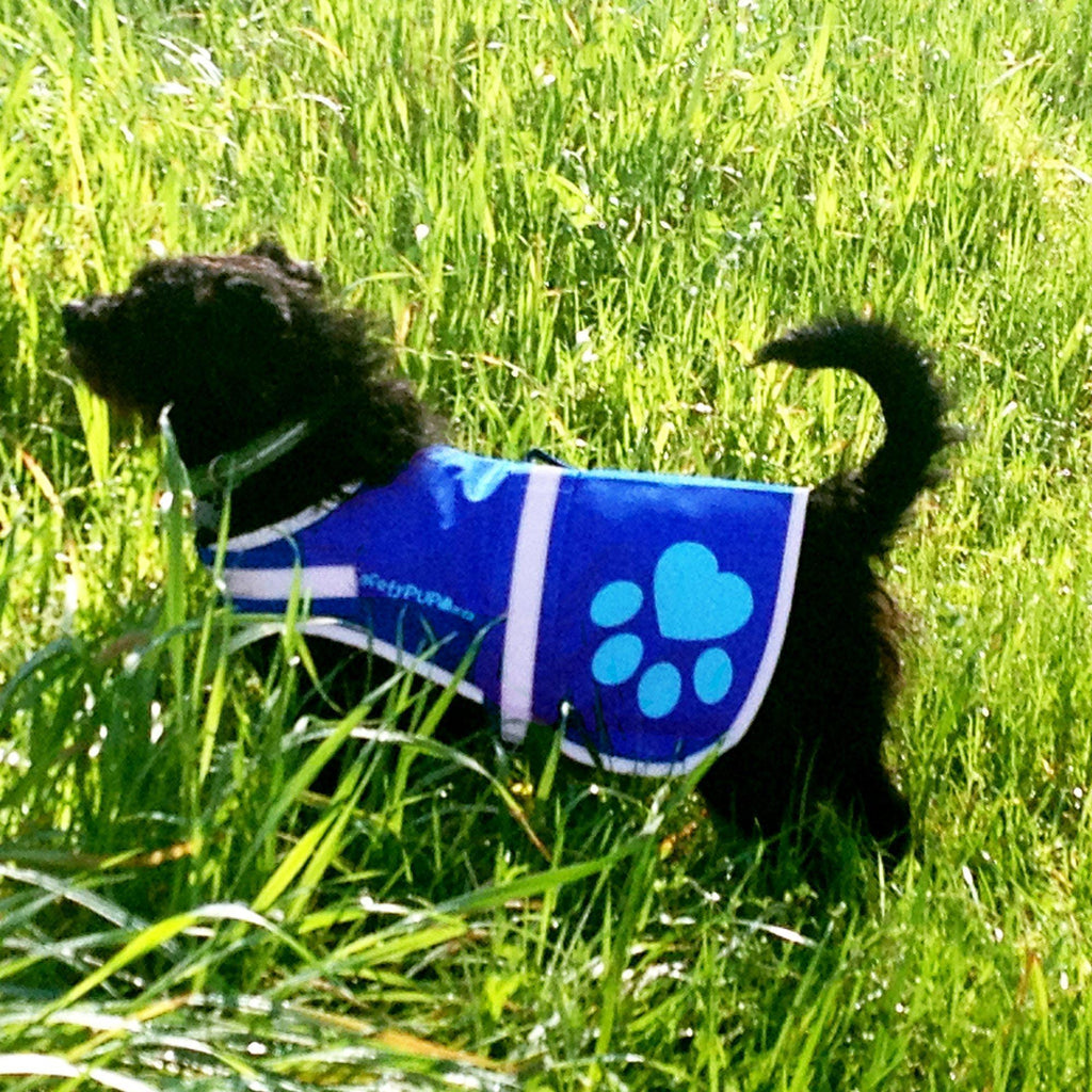 Reflective Dog Vest Hi-Vis S Size Blue