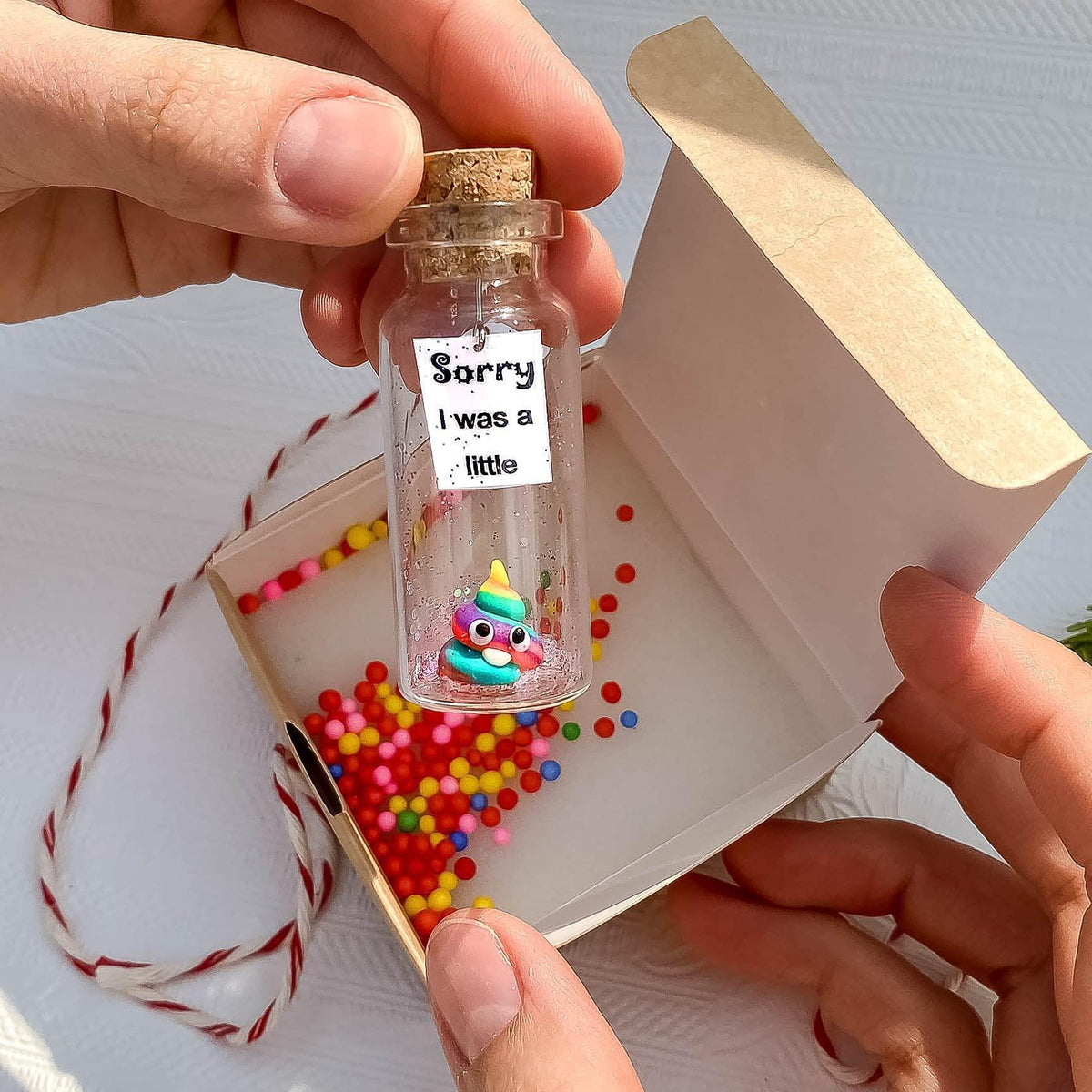 I'm Sorry Gifts for Her and Him Personalised Apology Gift Cute Poop in a Jar and Sorry Card Forgive Me Present Idea (in Beige Craft Box Sorry I was a little Rainbow Poop)
