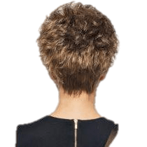 SPARKLE - Wig by Raquel Welch