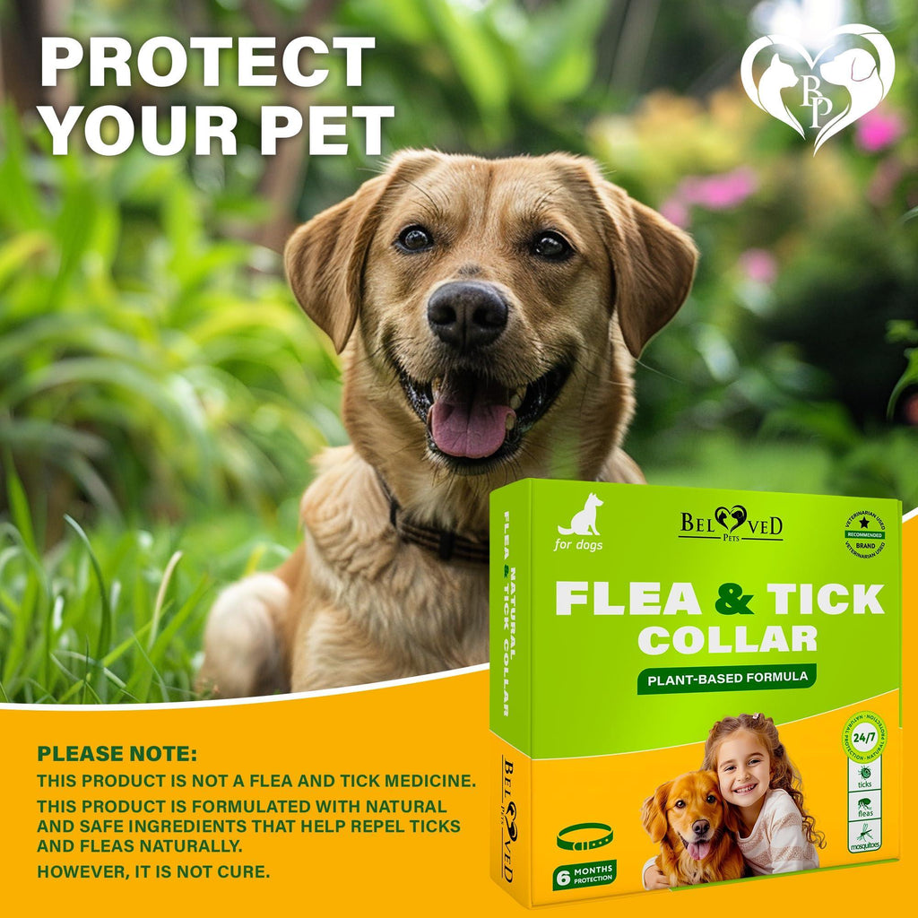 Flea & Tick Collar for Dogs 6-Month Protection Essential Oil Repellent 1 Pack