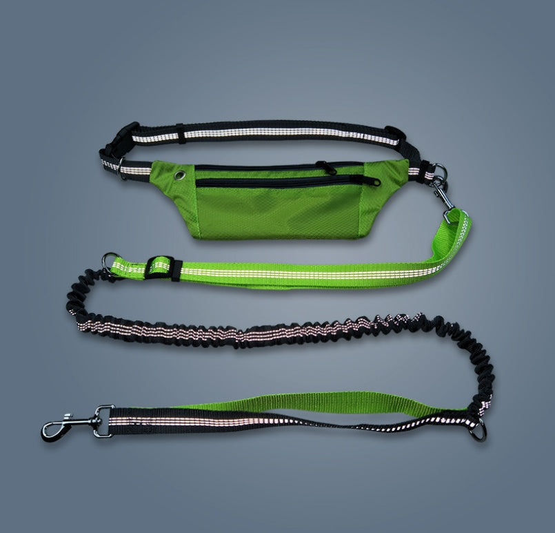 Dog collar without hands