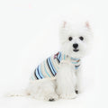 Dog Clothes Cool Clothes Small And Medium Size