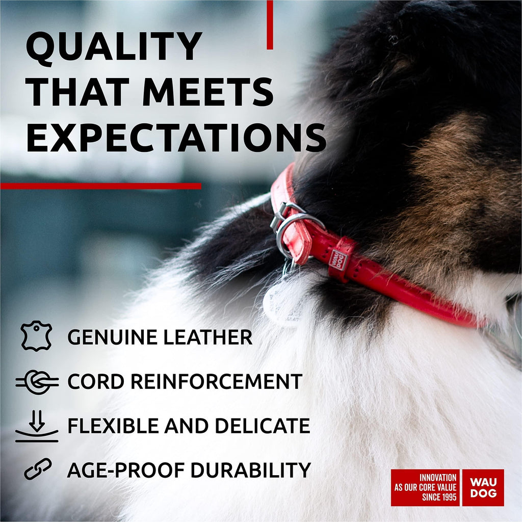 Rolled Leather Dog Collar Padded 18–21 in Neck Red