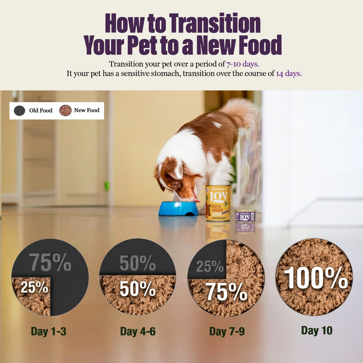 Variety Pack Dinner for Dogs – 4 Flavors