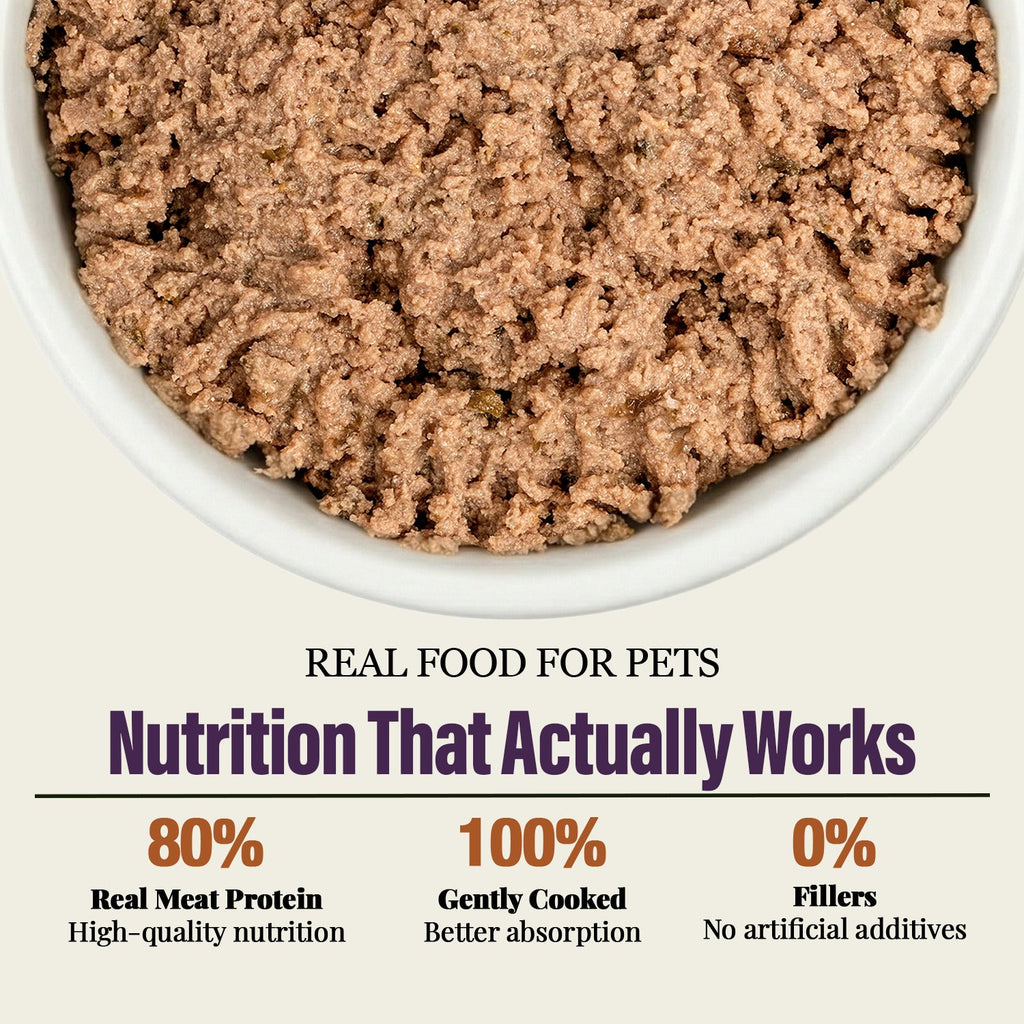 Variety Pack Dinner for Dogs – 4 Flavors