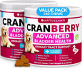 Dog UTI Treatment 240 Chews 2-Pack Cranberry Bladder & Kidney Support
