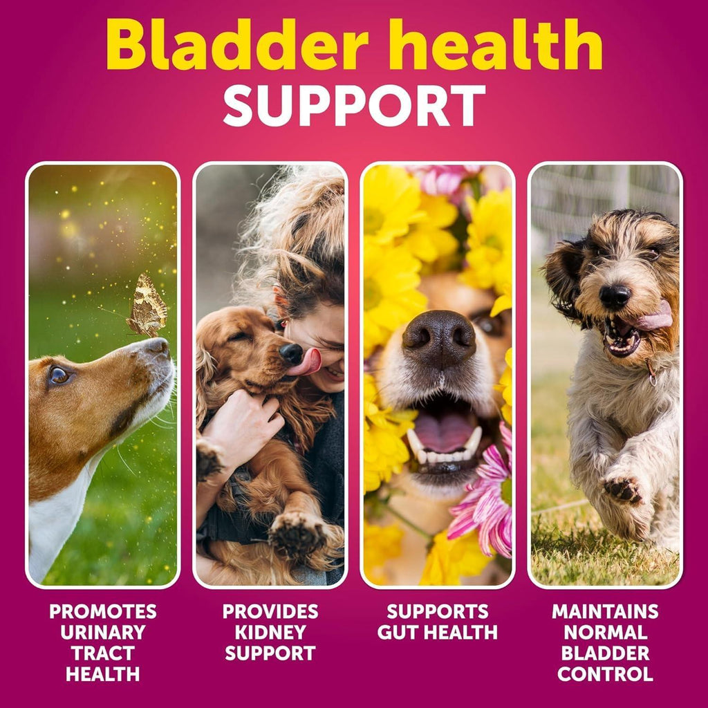 Dog UTI Treatment Cranberry Supplement Bladder Control 70 Soft Chews
