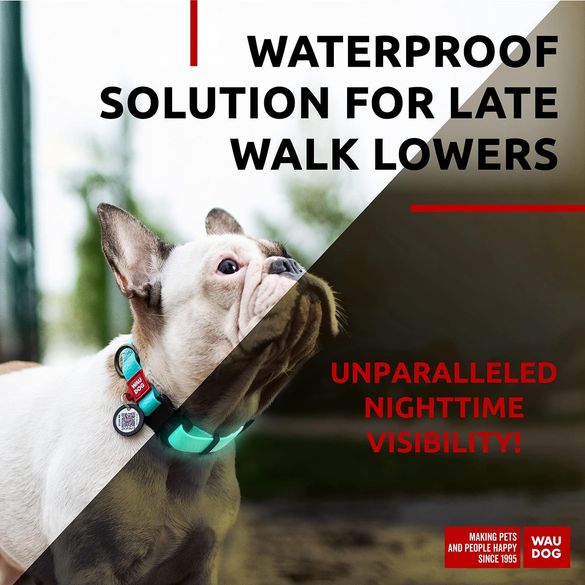 Waterproof Glow Dog Collar Adjustable Medium Dogs 10–16 in Neck