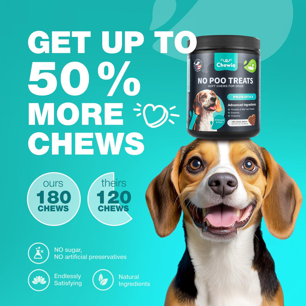 No Poo Chews for Dogs Coprophagia Deterrent Probiotics Gut Health