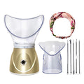 Beauty steaming face instrument