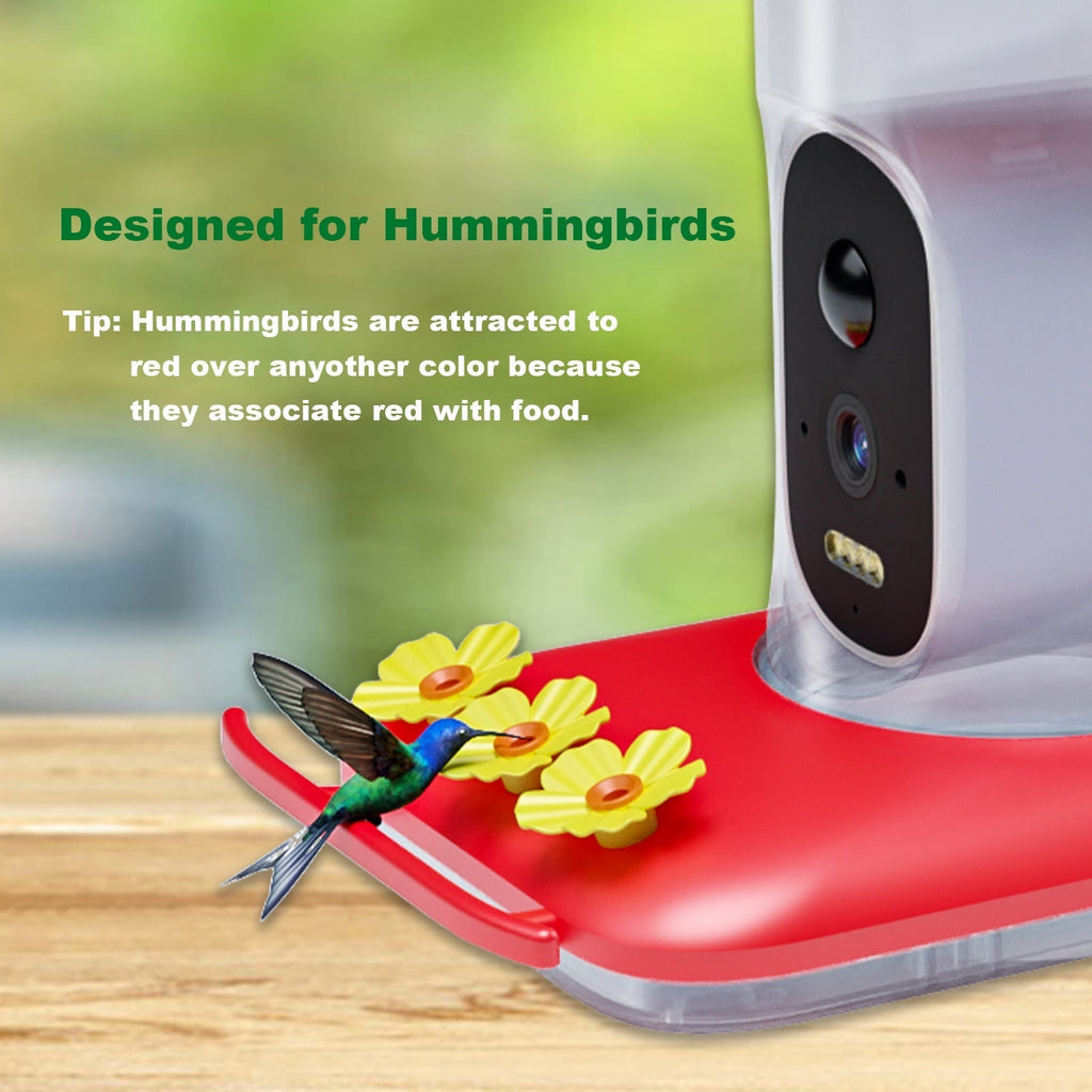 Intelligent Visual Hummingbird Water Feeder 5MP Pixel Outdoor HD