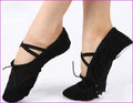 Belly Dance Dance Shoe Ballet Canvas Practice Dancing Shoes Comfortable Soft Bottom Canvas Free Yoga Body Dancing Shoes Dance Shoe