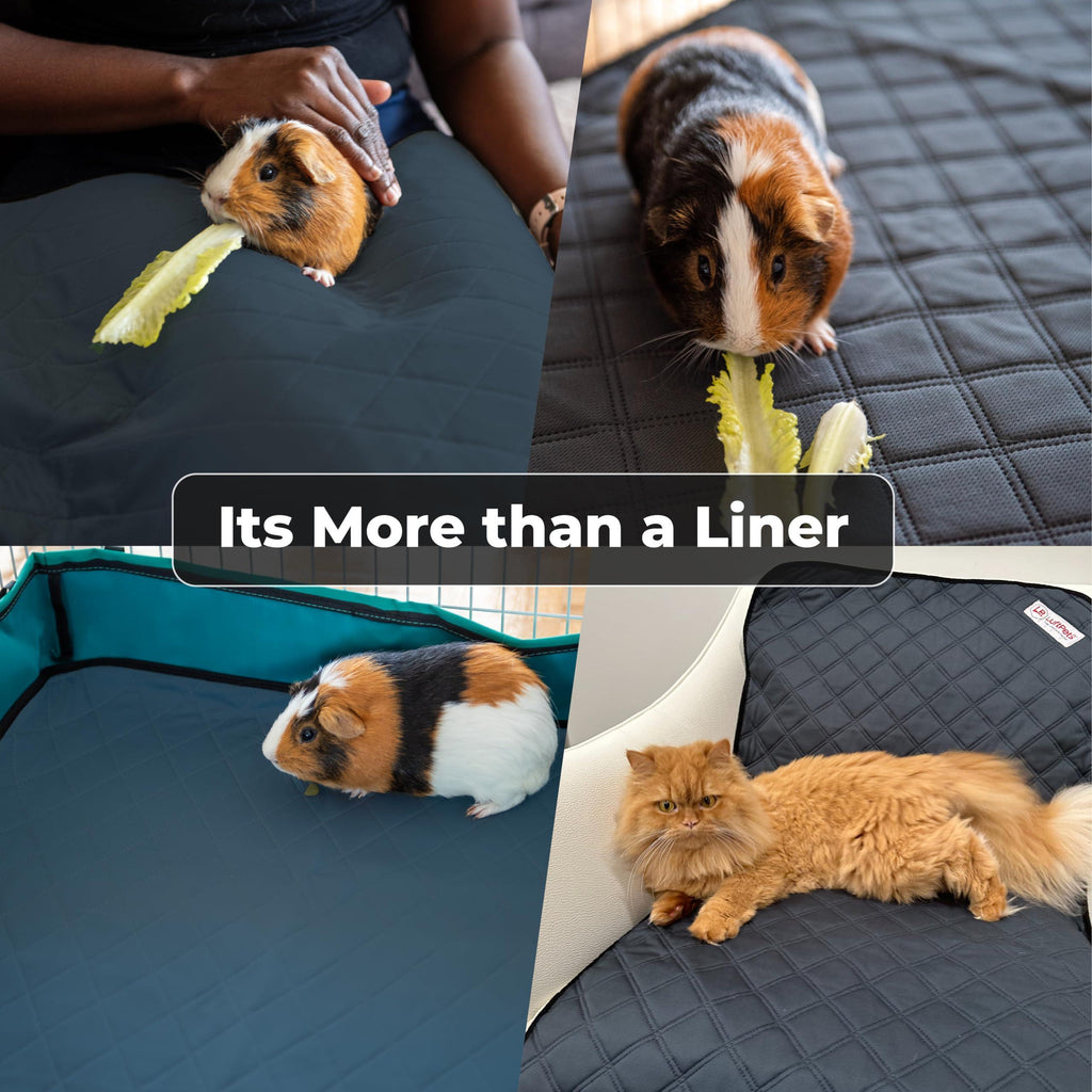 Washable Cage Liners for Rabbits & Guinea Pigs 2x4 C&C 57x28 in 2-Pack Waterproof