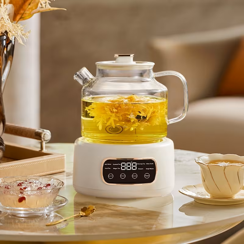 Multifunctional 110V Electric Kettle and Health Tea Stew Pot
