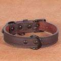 Medium Bell Anti-lost Pet Collar