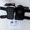 Pet Four Leg Red Light Therapy Mat For Calf Heat Therapy With LED Infrared Lights
