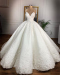 Deep V-neck Lace Wedding Dress