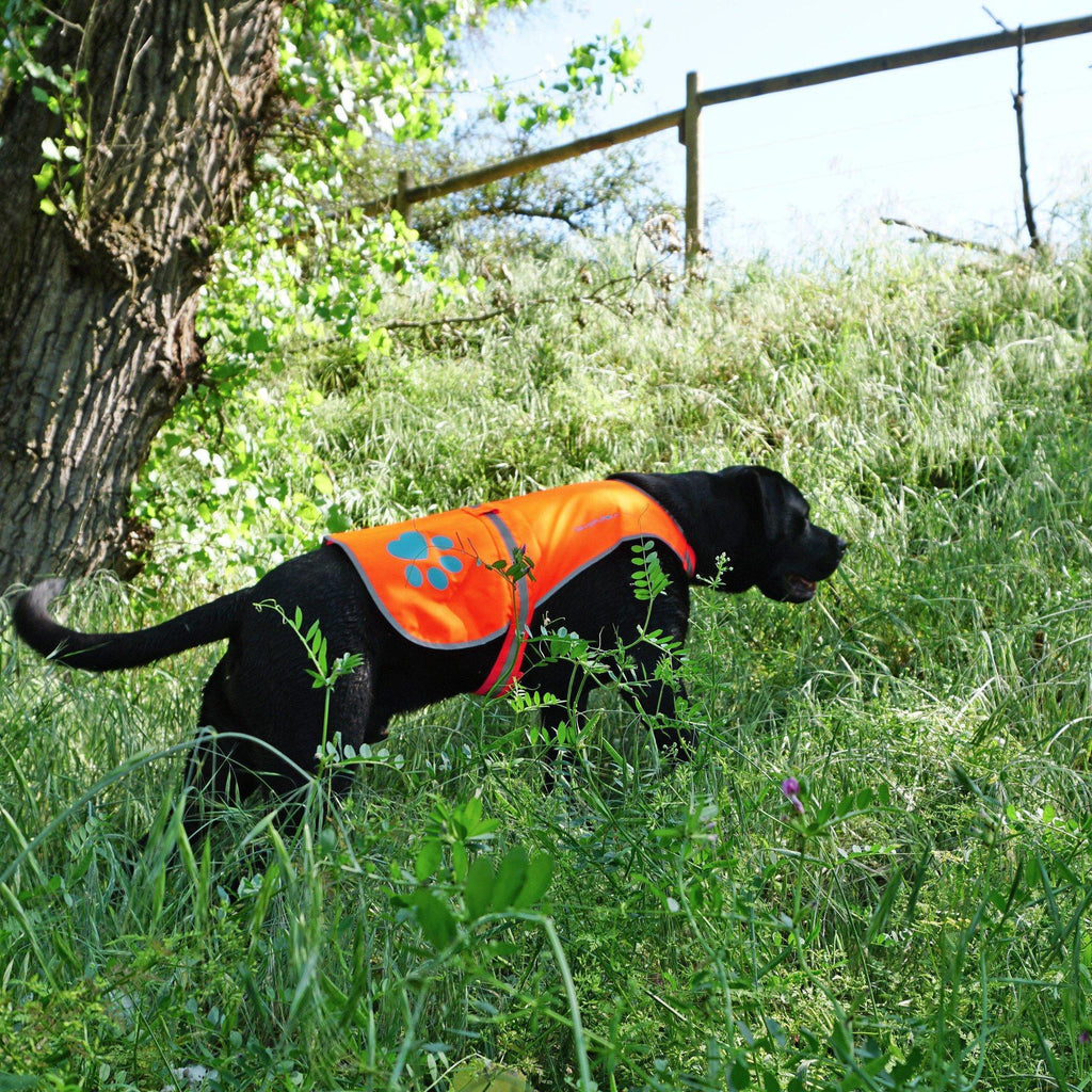 Reflective Dog Vest Hi-Vis XL Size 42 in Chest x 21.75 in Neck Orange