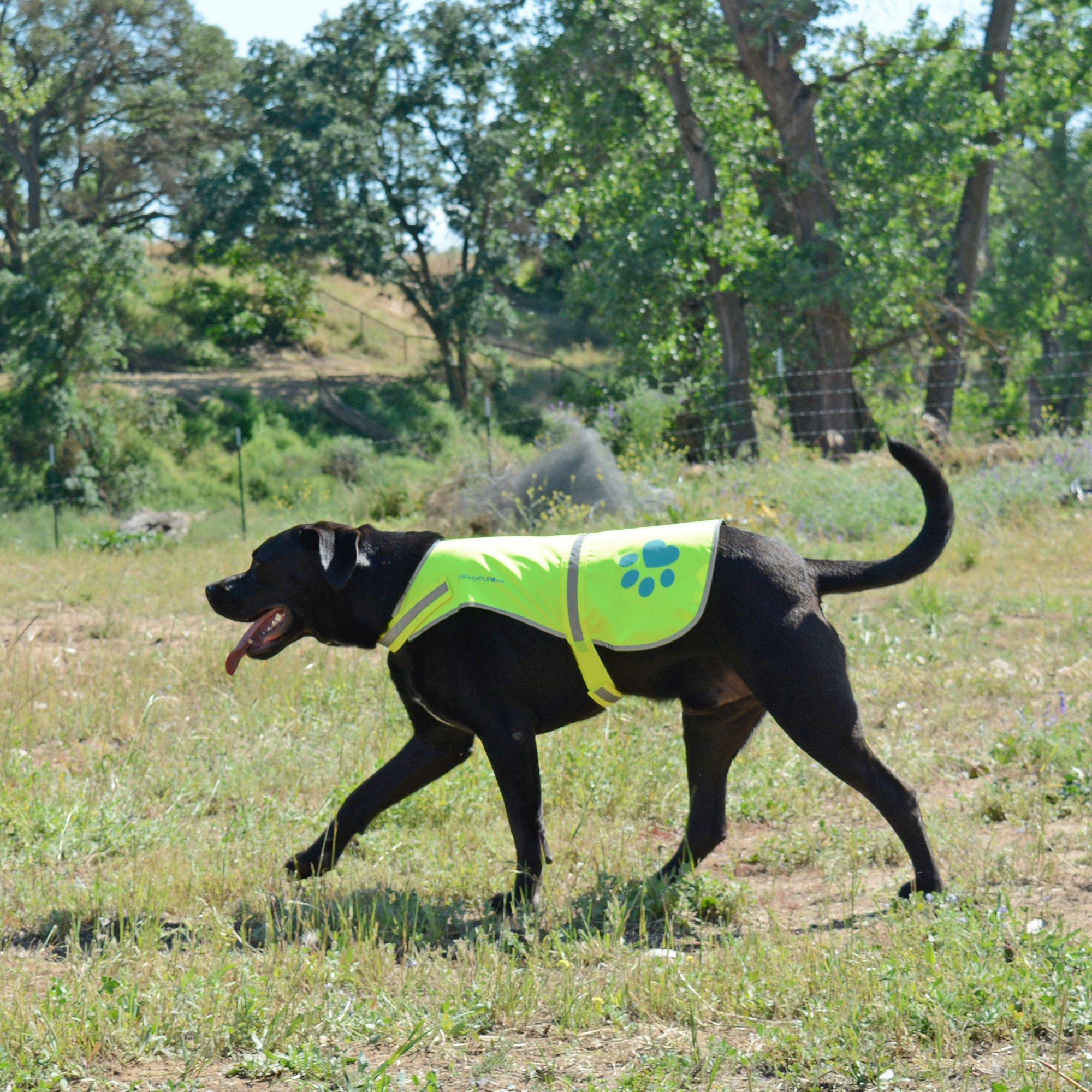 Reflective Dog Safety Vest Hi-Vis XL Size Neon Yellow