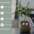 Smart AI Planter with Expressions and Sensors