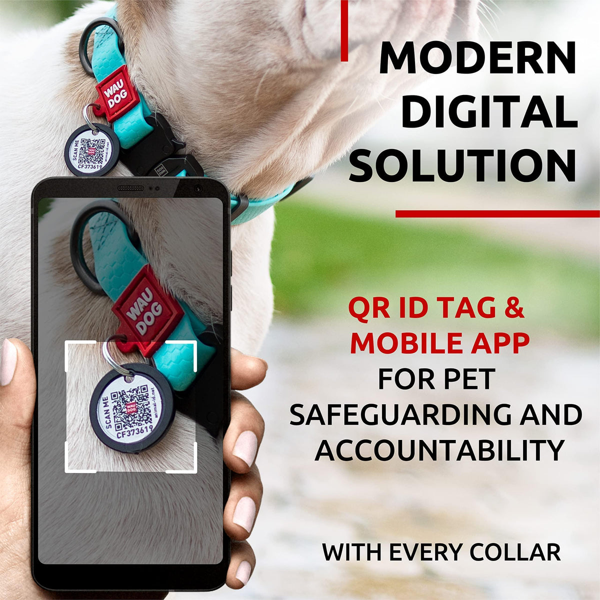 Waterproof Glow Dog Collar Adjustable Medium Dogs 10–16 in Neck