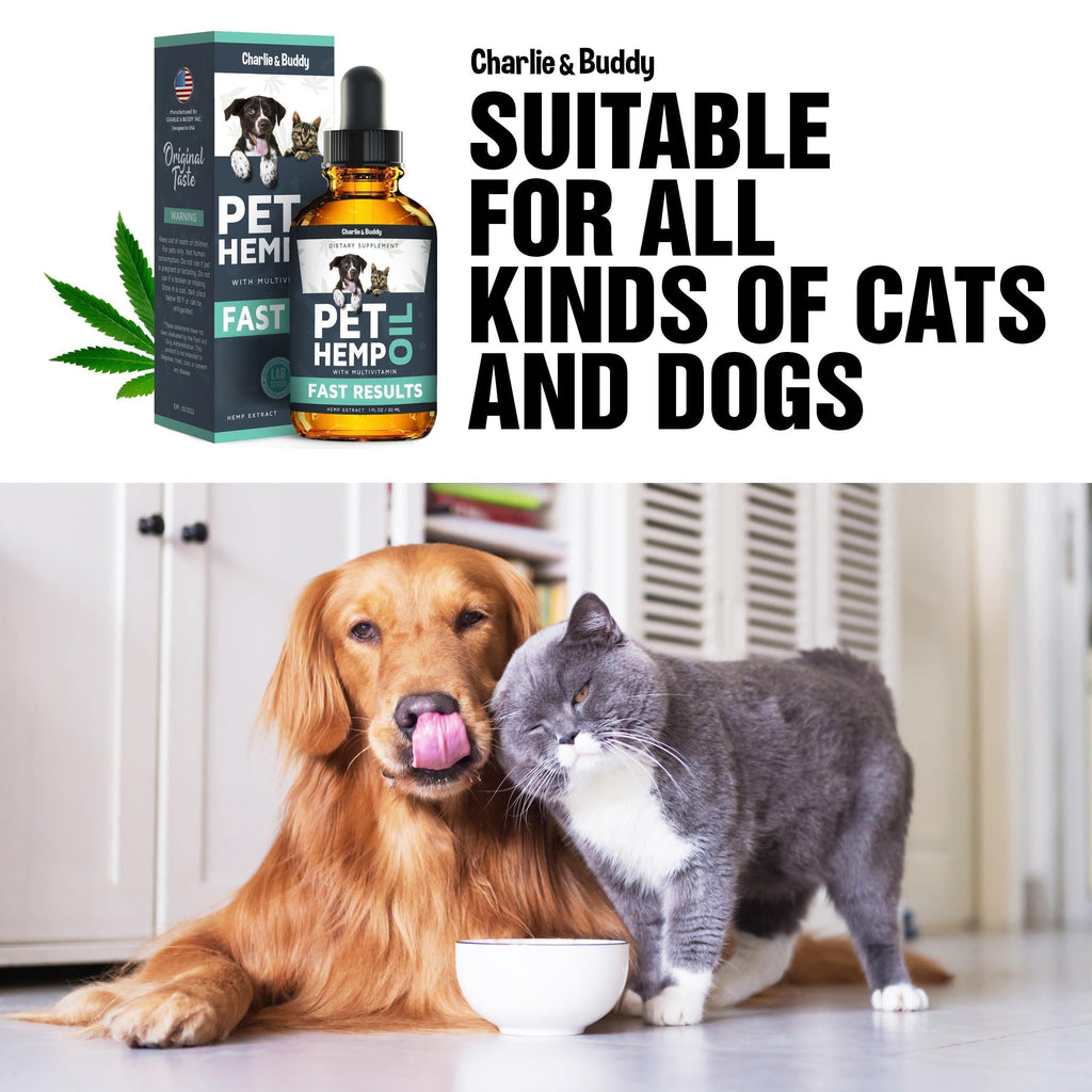 Hemp Oil for Dogs & Cats Anxiety Pain Stress & Sleep Support