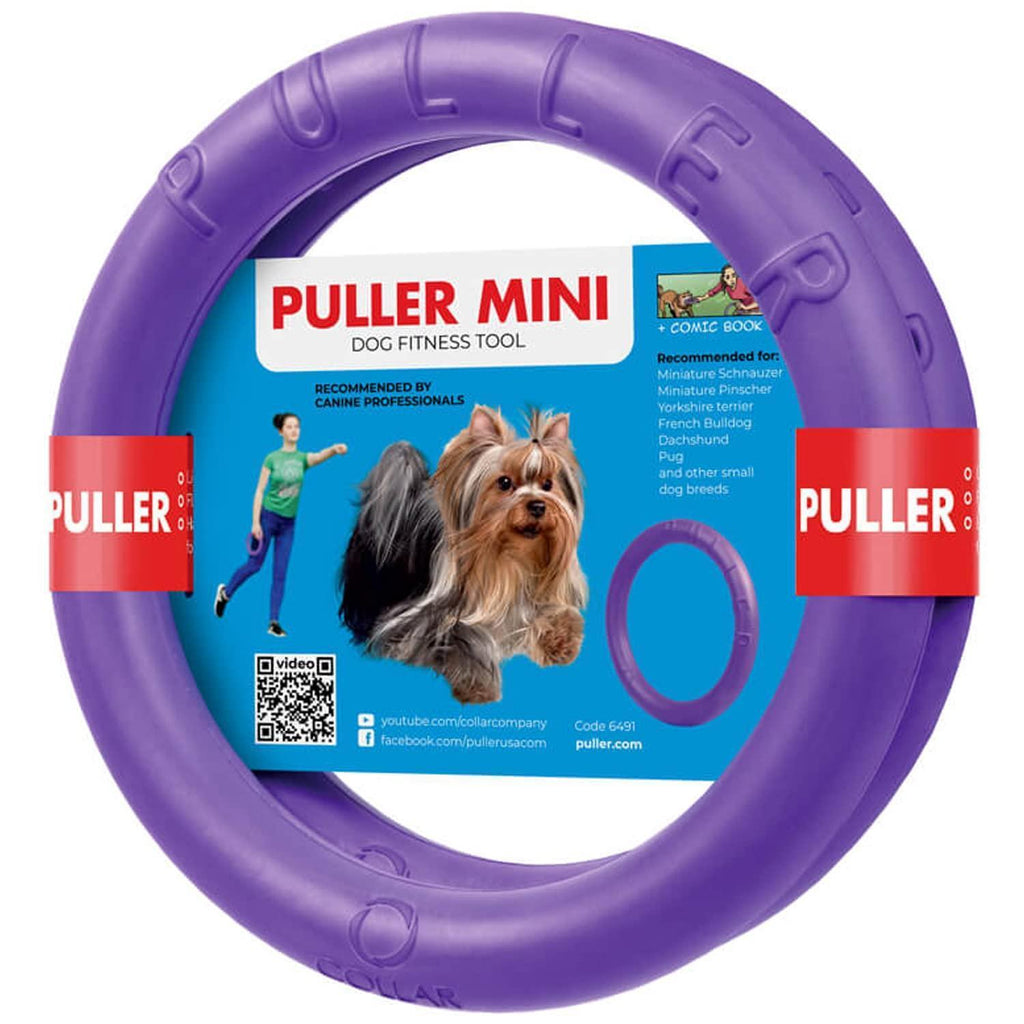 Dog Ring Fetch Toy Small Dogs Mini Size 2 Rings Purple