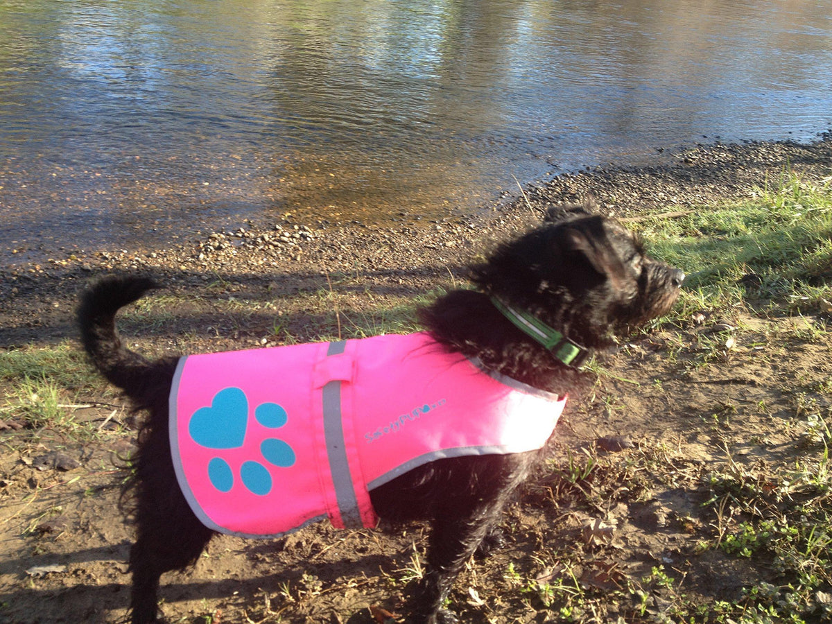 Reflective Dog Vest Hi-Vis S Size 21.5 in Chest x 17 in Neck Pink