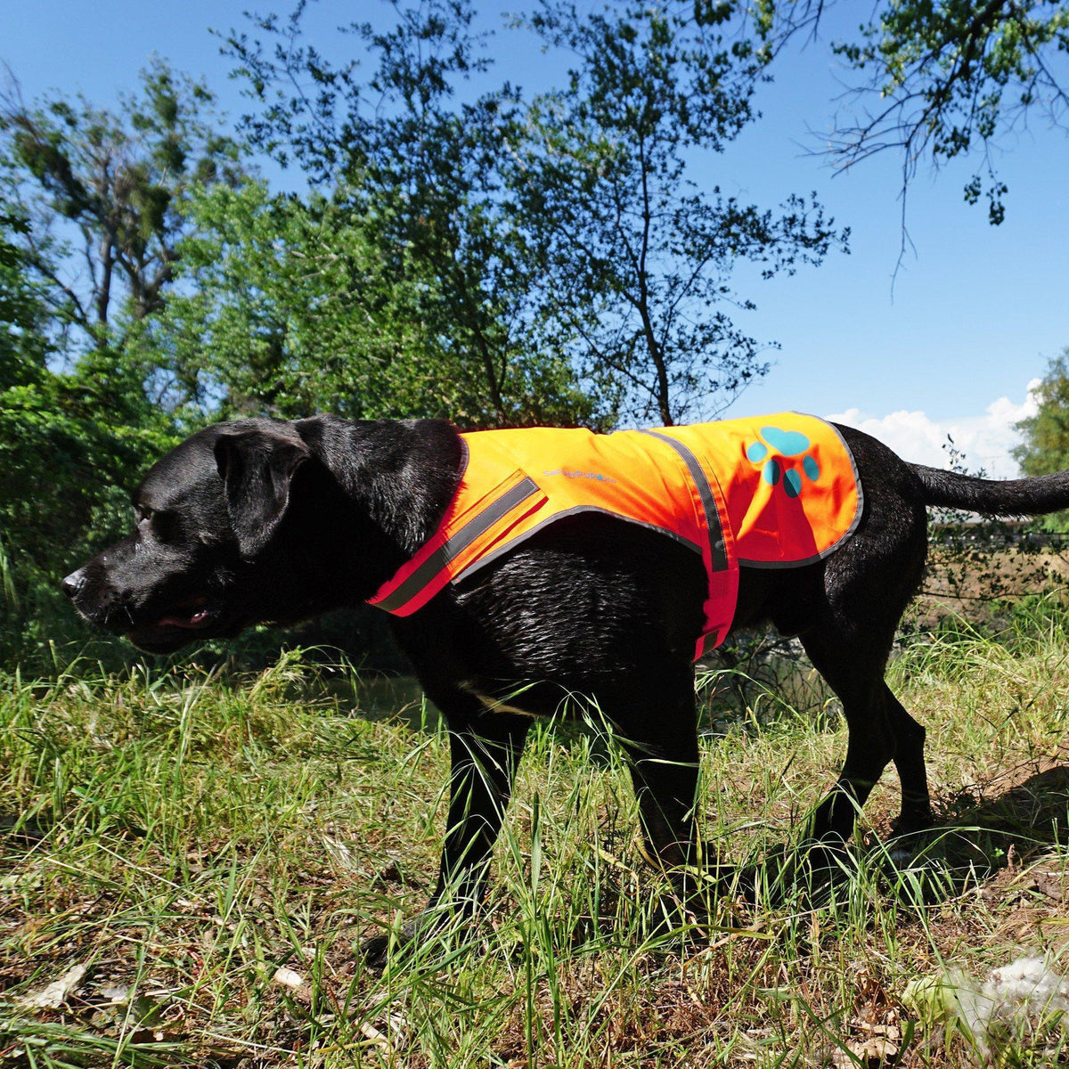 Reflective Dog Vest Hi-Vis XL Size 42 in Chest x 21.75 in Neck Orange