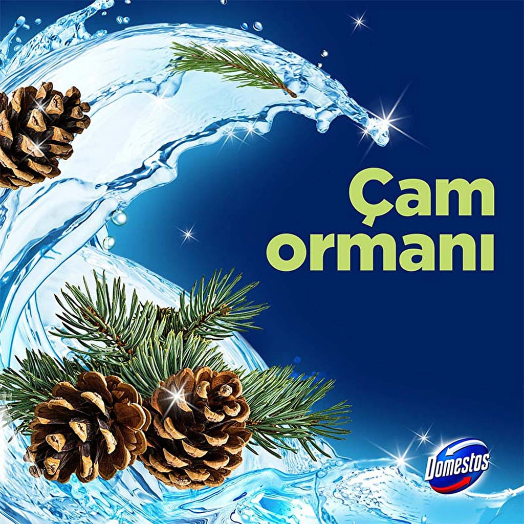 Domestos Toilet Block Pine Forest 100g - Maximum Freshness and Hygiene