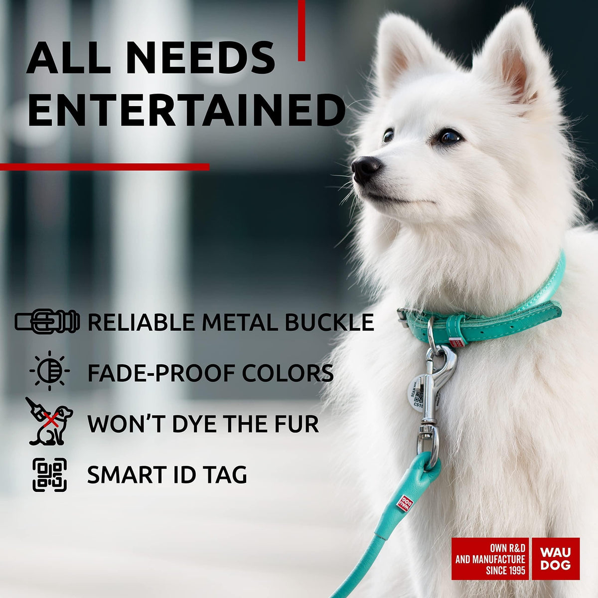Ultra Soft Rolled Leather Dog Collar for Small Dogs Mint 8  10 inch Neck Soft