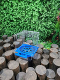 Small Parrot Breeding Box Bird Nest