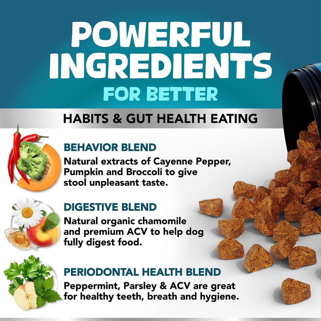 No Poo Chews for Dogs Stop Poop Eating Behavior Probiotics and Digestive