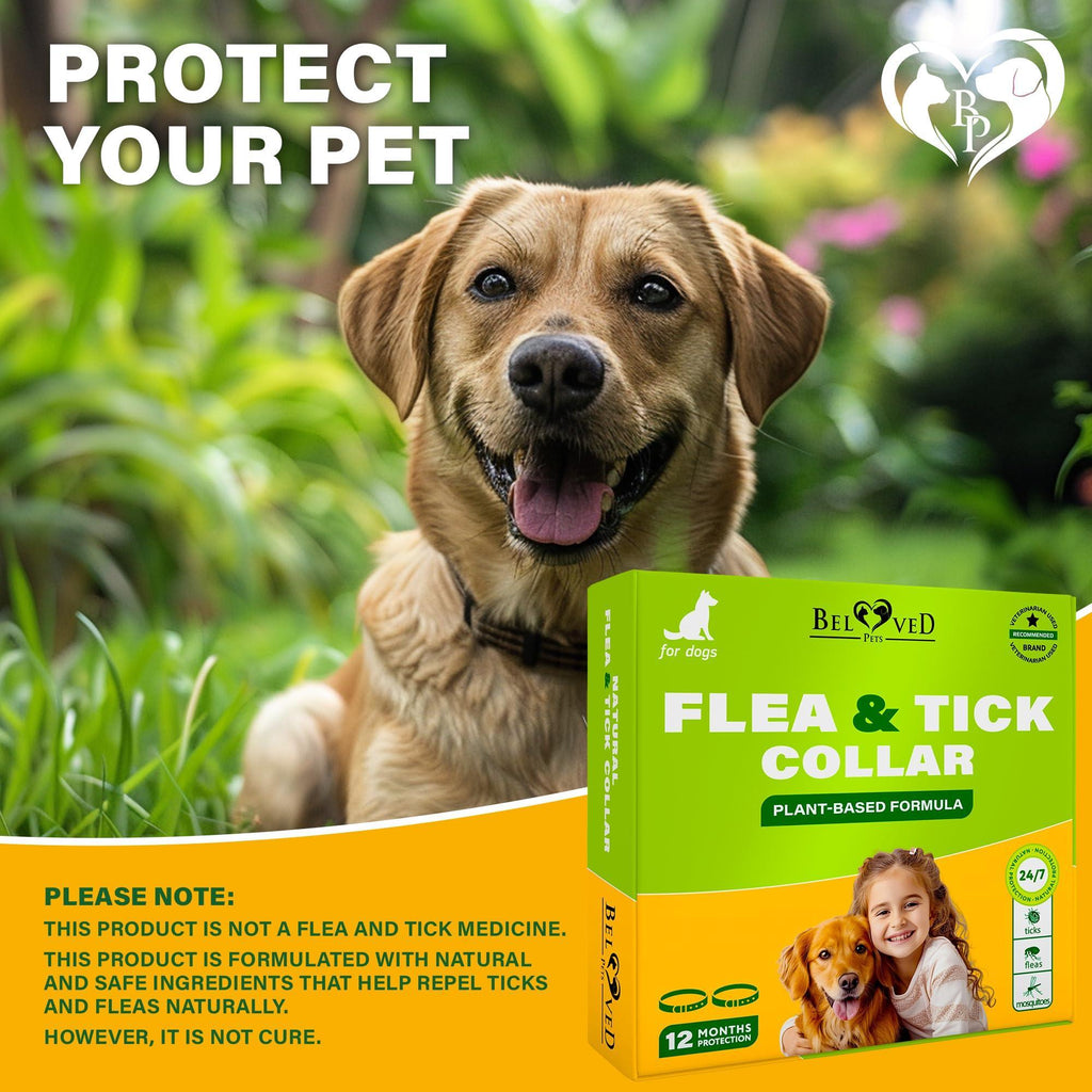 Flea & Tick Collar for Dogs 6-Month Protection Essential Oil 2 Count